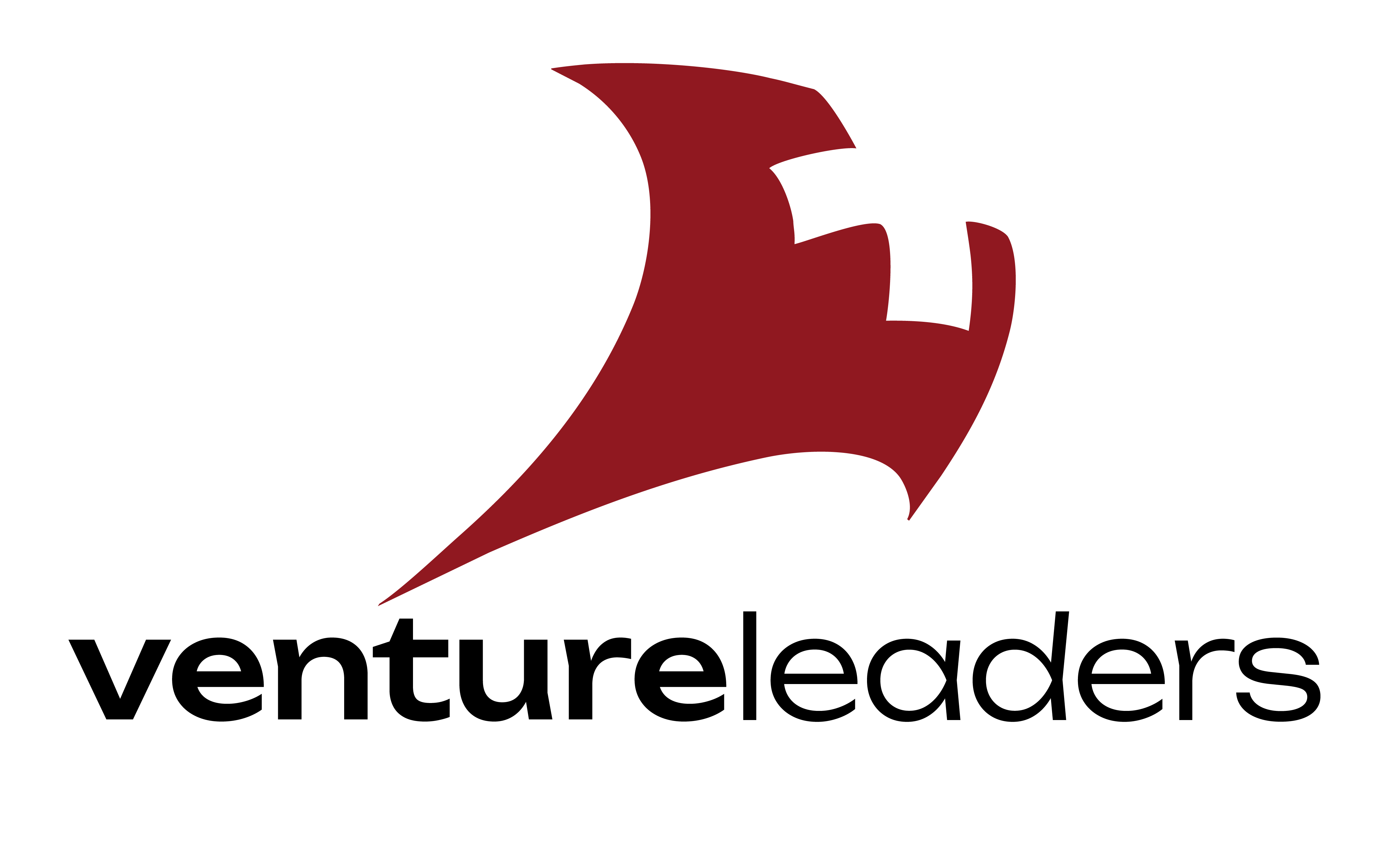 Venture Leaders